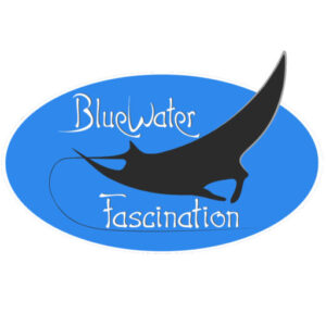 Blue Water Fascination