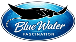 Blue Water Fascination